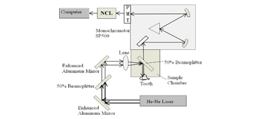 Detection of Early Dental Caries Using Laser Induced  Fluorescence with Back-Scattering Enhancement 