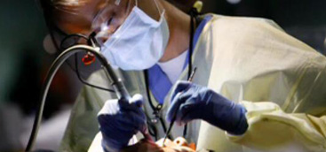 Dental Hygiene Dentist Debunks Recent ‘Flossgate’ Study: Why It’s Best To Keep Flossing