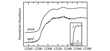 The Chemical Forms of Mercury in Aged and Fresh Dental Amalgam Surfaces